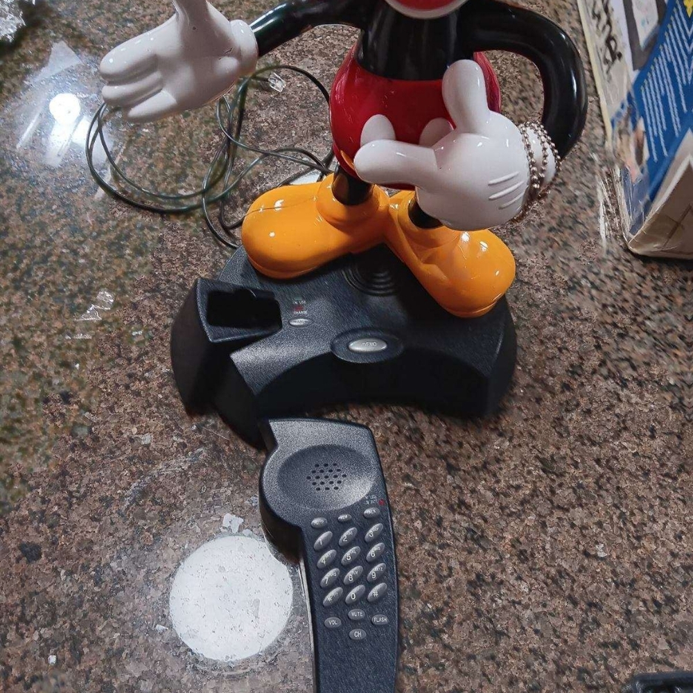 Mickey mouse - Picture 3 of 4